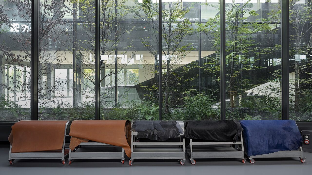 Vivolo Leader nel Settore degli Accessori per l'Abbigliamento