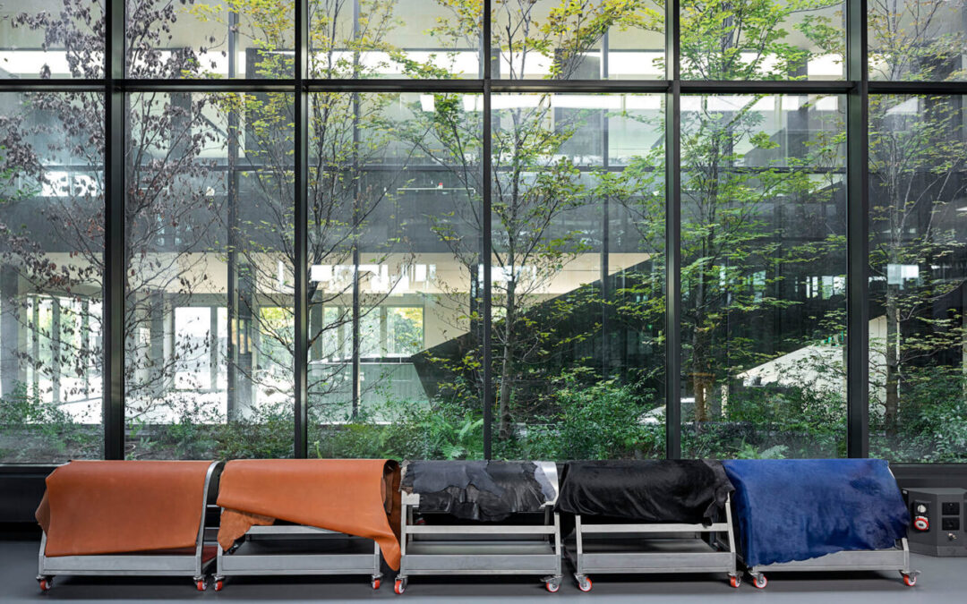 MPA Style – Vivolo: oltre il prodotto, una visione italiana di bellezza e responsabilità