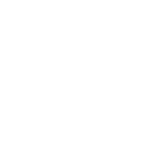 Logo Vivolo